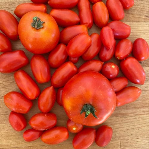 Pomodori